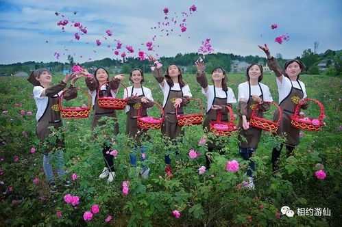 母親節花語獻禮 深圳游仙七朵仙花，獻給最美的她