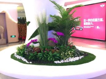 深圳辦公室花卉租擺與綠化養護服務，打造優雅辦公環境