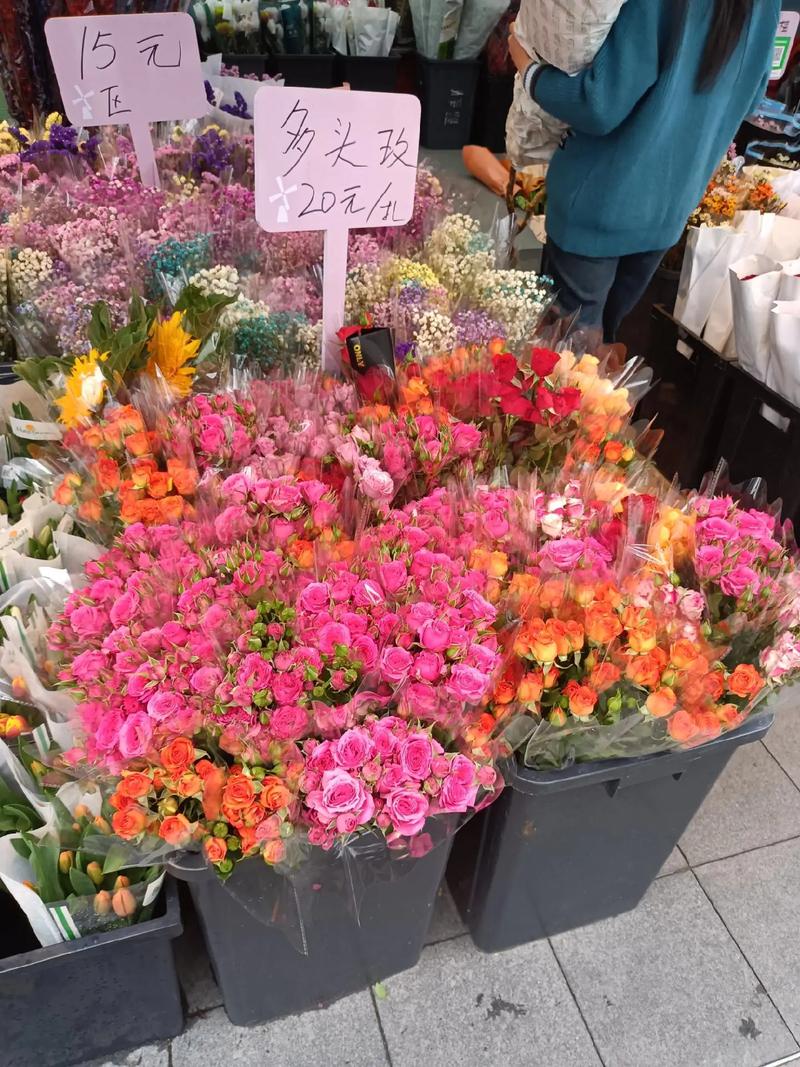 深圳荷蘭花卉小鎮 花的世界，花的海洋，群芳競艷百花齊放